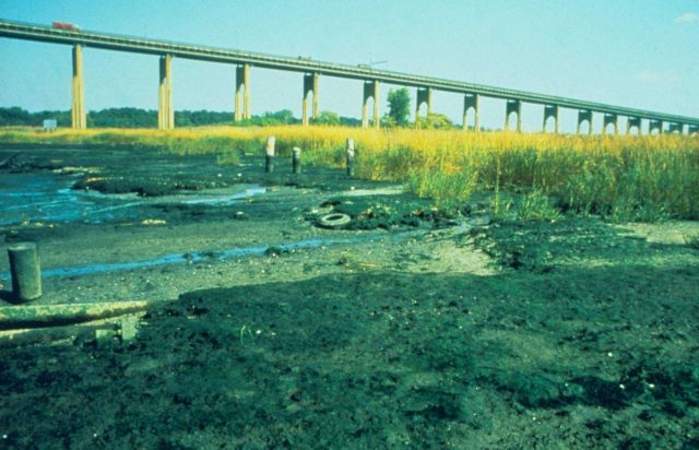 Arthur Kill Waterway, Richmond County Picture