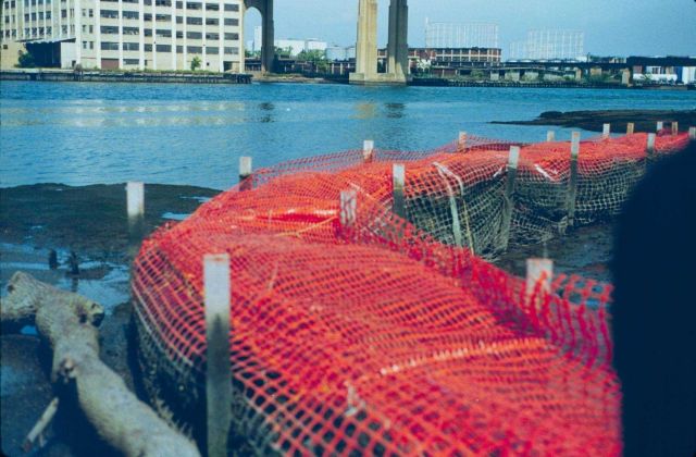 NOAA's Restoration Center Collection Picture