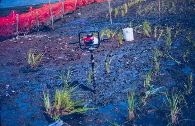 The auger that was used to plant the marsh grass plugs. Picture