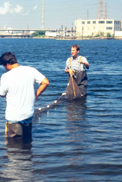 NOAA's Restoration Center Collection Picture