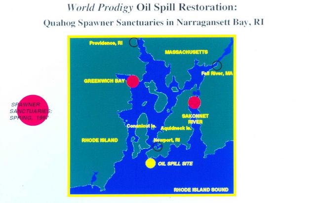 A slide of a map showing sites of the quahog spawner sanctuaries Picture
