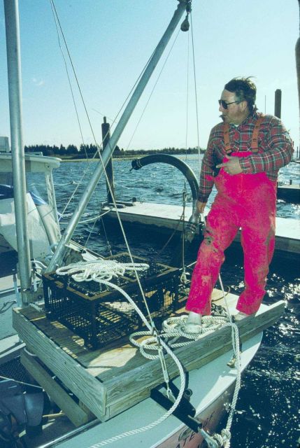 Art Ganz of Rhode Island DEM checks for potential spawner sanctuary sites by dredging for quahogs, Mercenaria mercenaria in different parts of Narraga Picture