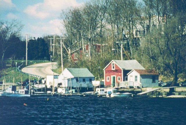 A view of the facility at Greenwich Bay where the quahogs were transferred and weighed before being moved to the spawner sanctuaries in the outer port Picture