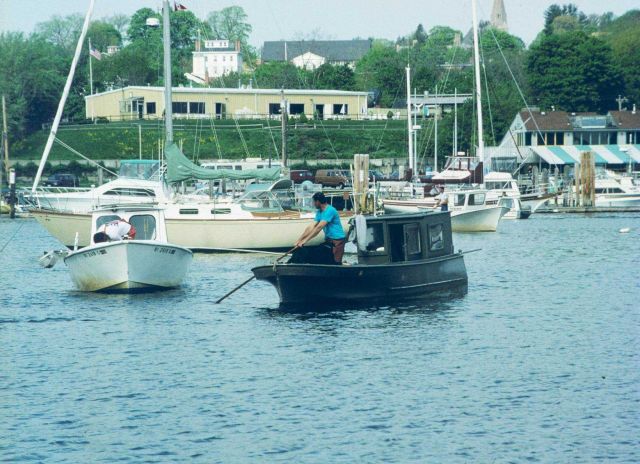 A shellfisherman harvests quahogs to be transplanted to the spawner sanctuaries. Picture