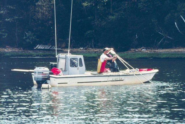 A bullraker harvests quahogs in the still morning waters for transplant to designated spawner sanctuaries. Picture