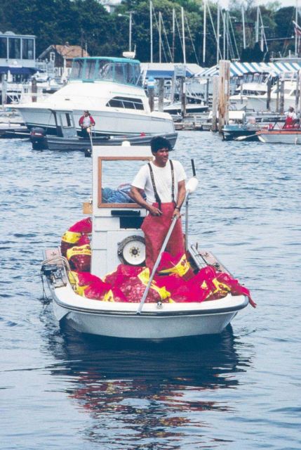 A shellfisherman heads in to weigh the quahogs he harvested for transfer to the spawner sanctuaries Picture