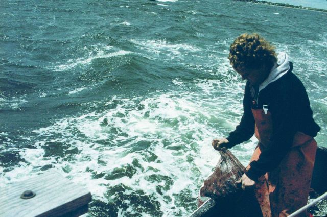 The process of emptying quahogs into the rough waters of Narragansett Bay took hard work and a dedicated team of volunteers. Picture