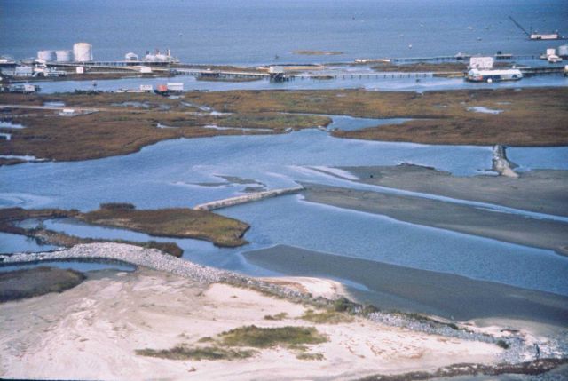 East Timbalier Island from the gulf side looking North toward the Bay Picture