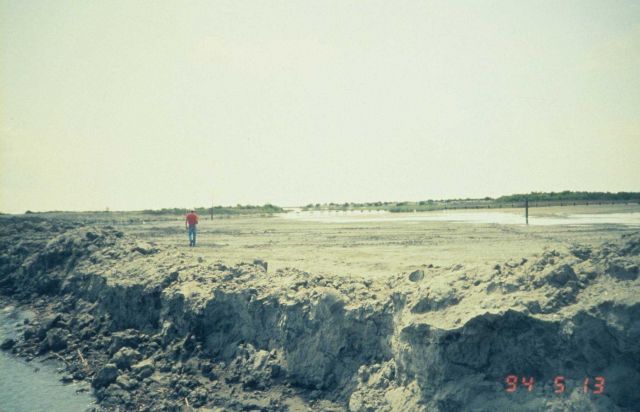The constructed marsh platform ready for planting. Picture