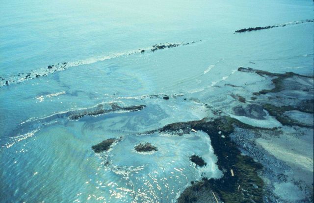 During the spill at the well blow out site, oil on the Gulf side of East Timbalier Island. Picture