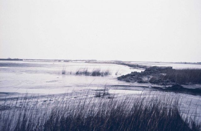 Post restoration. Picture