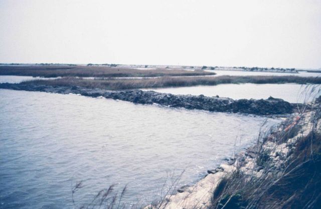 A berm early in the construction process. Picture
