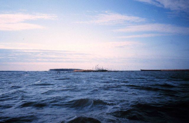 A remnant of Middle Poplar Island Picture