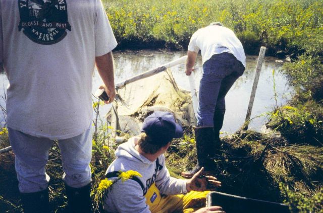 Collecting samples Picture