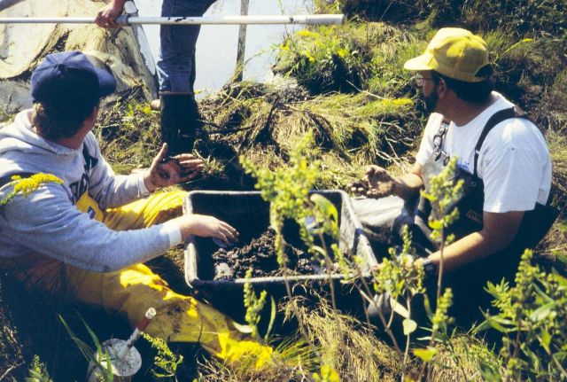 Dave Meyer and Chris Doley checking samples Picture