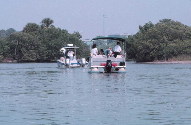 Tampa Baywatch and McDill Airforce Base pontoon boats assist in the clean-up and rescue of entangled birds. Picture