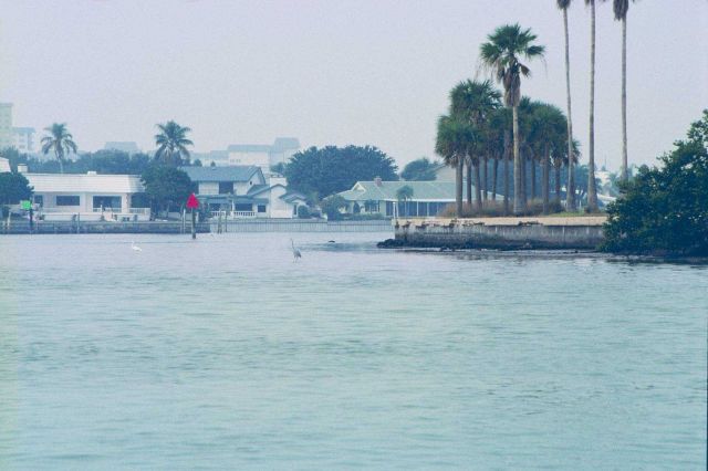The surrounding shoreline and homes on Tampa Bay. Picture