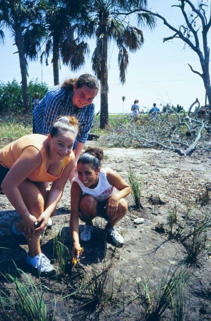 Volunteers planting smooth cord grass, Spartina alterniflora at the restoration site. Picture