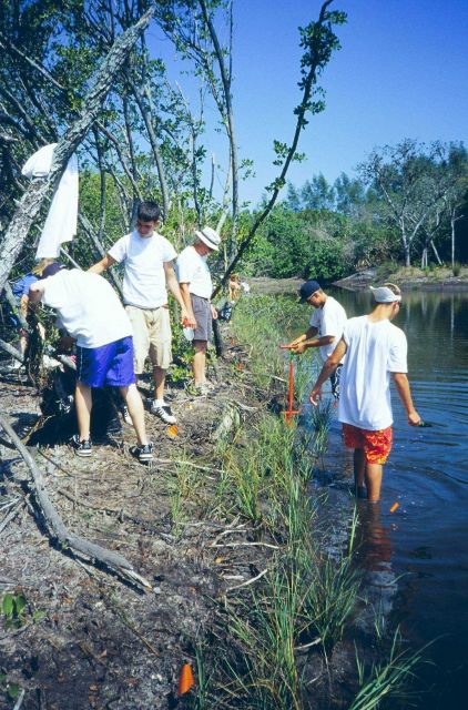 A student at the water's edge is using a dibble bar. Picture