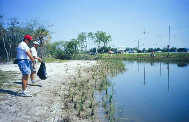 Tampa Baywatch and NOAA staff observe the progress at the restoration site Picture