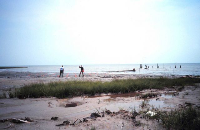 Marking the planting locations at Barren Island. Picture