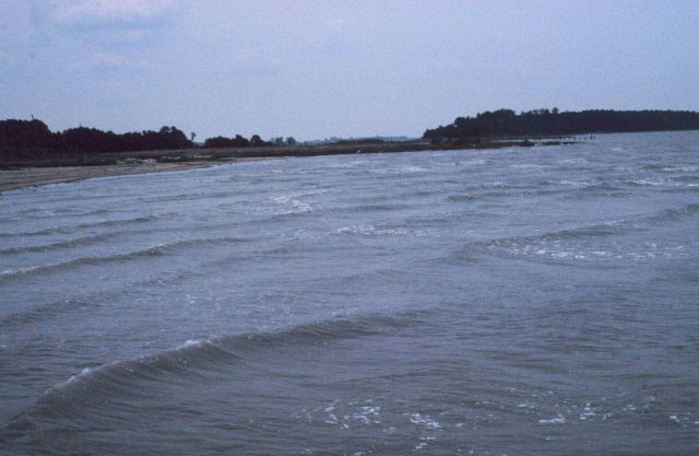 Barren Island before the planting Picture