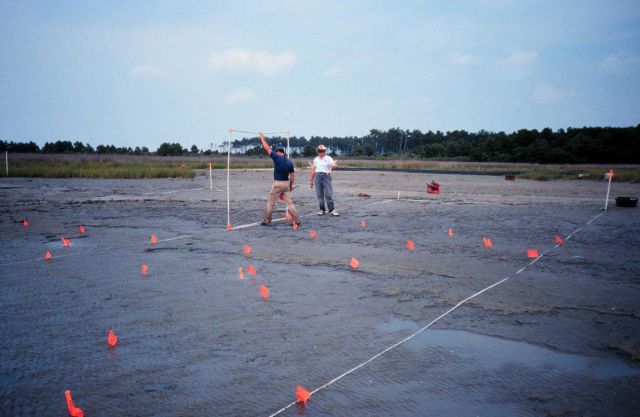 Marking off the planting site, the large square is a quadrant to establish where the plantings should go. Picture