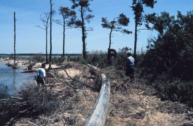 A dredge tube is used to place dredge materials behind the geotubes. Picture