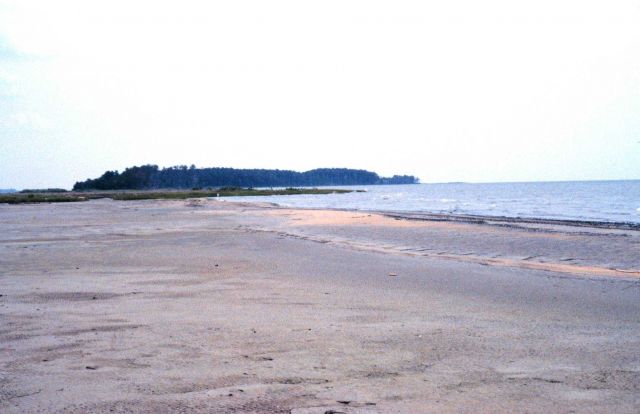 This is an image that shows Barren Island after the restoration work was completed Picture