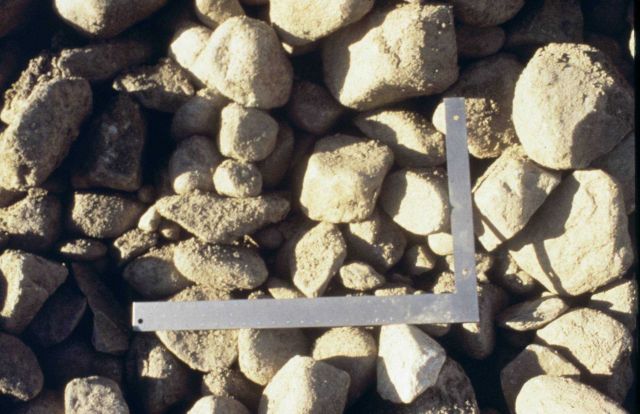 The average size cobble used in construction of the reef was 8