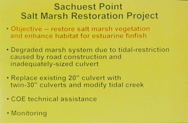 A slide that outlines the objectives of the restoration work at Sachuest Point Salt Marsh. Picture