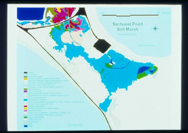 A schematic that shows the restricted side of the marsh at Sachuest Point. Picture