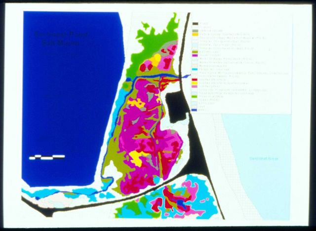 A schematic that shows the unrestricted side of the marsh at Sachuest Point Salt Marsh. Picture