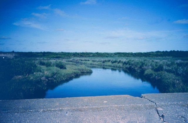 The main tidal creek of Maidford River that enters Sachuest Marsh near Third Beach. Picture