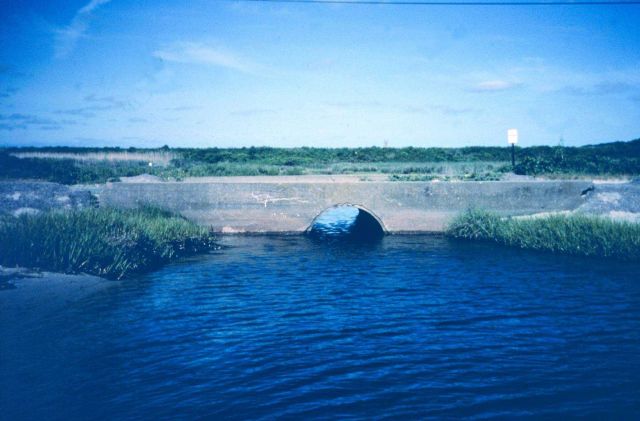 The main tidal creek of Maidford River that enters Sachuest Marsh near Third Beach. Picture