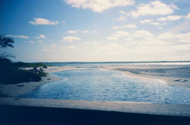Looking out toward Sakonnet River, an outlet of the main tidal creek of Sachuest Marsh. Picture