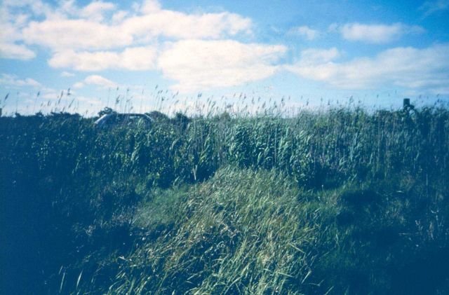 Pre restoration images of the the restricted culvert. Picture