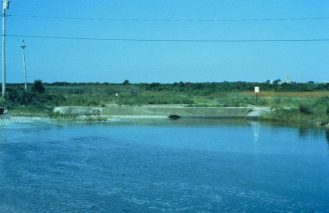 A main tidal creek. Picture