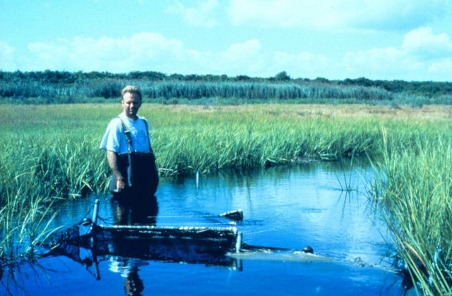 Fish sampling at Sachuest Marsh Picture