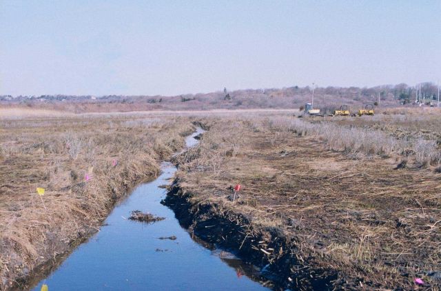 Pre excavation, the pink flags show the area to be excavated. Picture