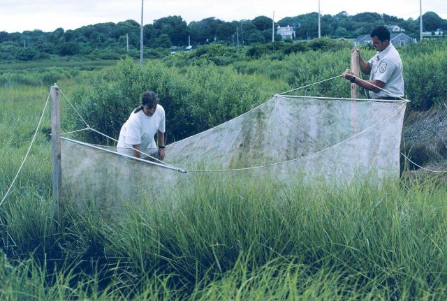 Sampling the lift nets Picture