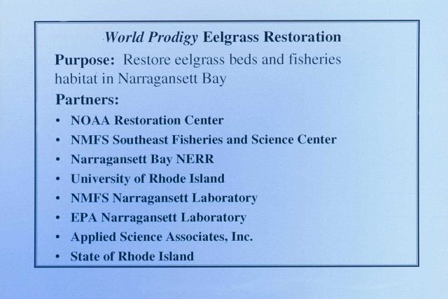 A slide describing the purpose of the eelgrass restoration and its partners Picture