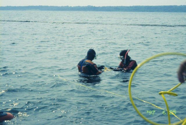 NOAA scientists at one of the transplant sites. Picture