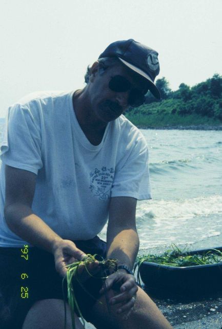 Mark Fonseca demonstrates the transplant process to reporters in the second of a series of images that illustrate the underwater process from a beach  Picture