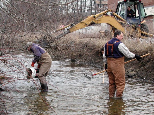 Rock and gravel are delivered to the restoration site Picture