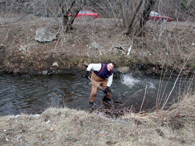 Mike Armstrong, Massachusetts Department of Marine Fisheries, pitches in at the restoration site. Picture