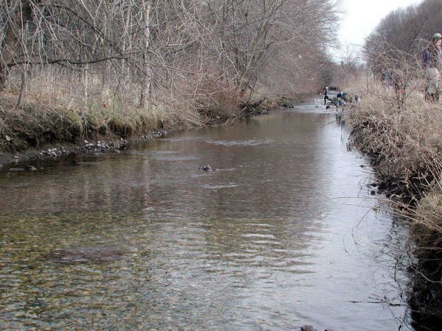 Looking downstream, note the new light colored rocks on the bottom. Picture