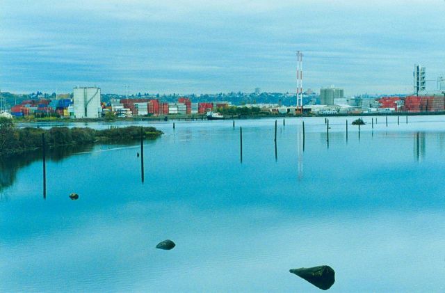 View from the Herring House site across to Kellogg Island and beyond to the Duwamish River. Picture
