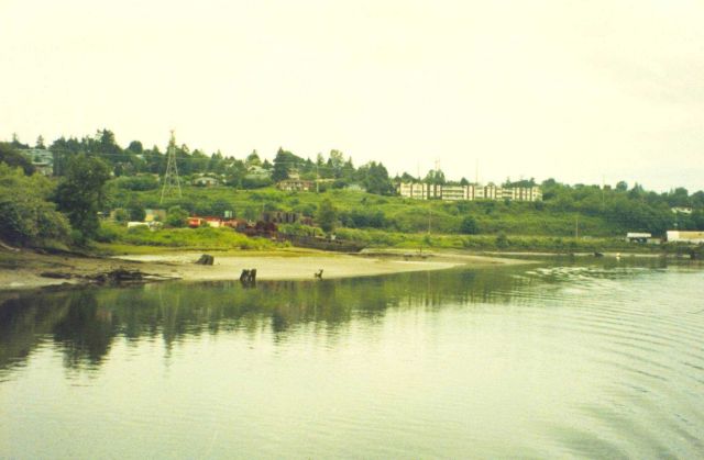 Turning Basin, Elliott Bay Picture