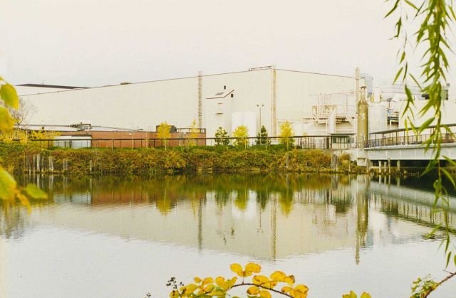 Duwamish River, Norfolk outfall by Boeing at Turning Basin Picture